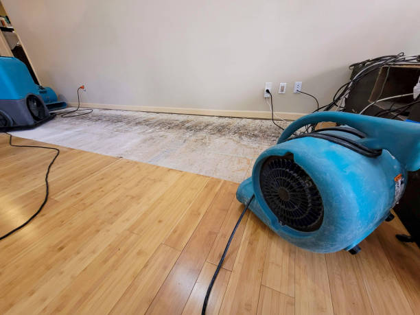 Professional Water Damage Repair technician working in Macedonia, IA